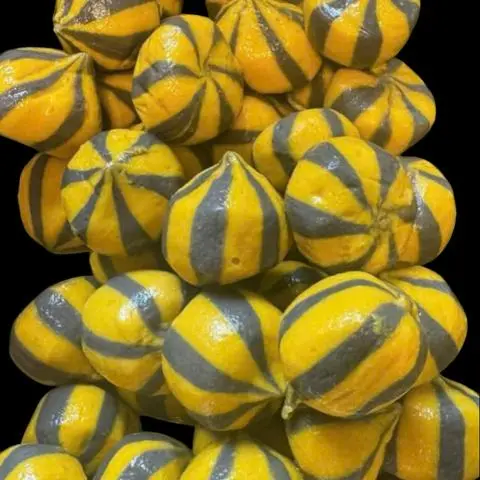 Hình ảnh Bánh Bao Gà Nướng (3v)