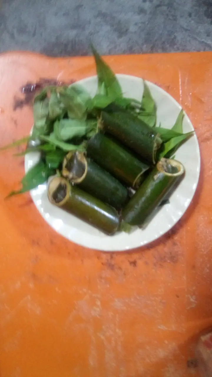 Hình ảnh Ốc Nhồi Ống lamx5