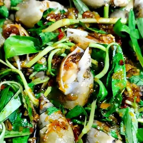 Hình ảnh Ốc cà na xào tỏi