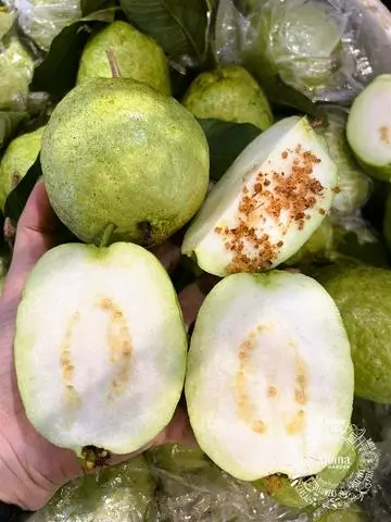 Hình ảnh ỔI THÁI HỘP 500gr