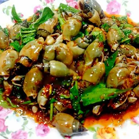 Hình ảnh Ốc cà na xào sa tế