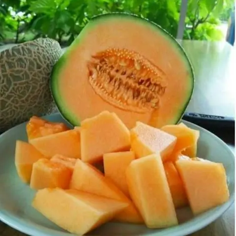 Hình ảnh HỘP DƯA LƯỚI 300g
