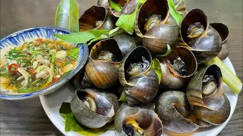 Hình ảnh Ốc lác luộc sả 