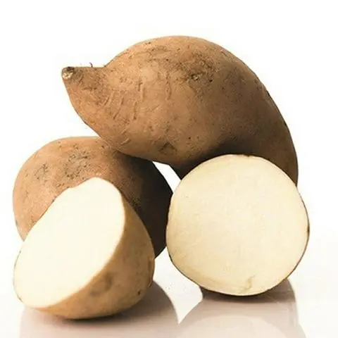 Hình ảnh Khoai lang bột trắng - 500g