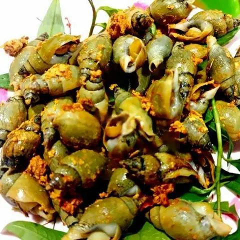 Hình ảnh Ốc cà na rang muối