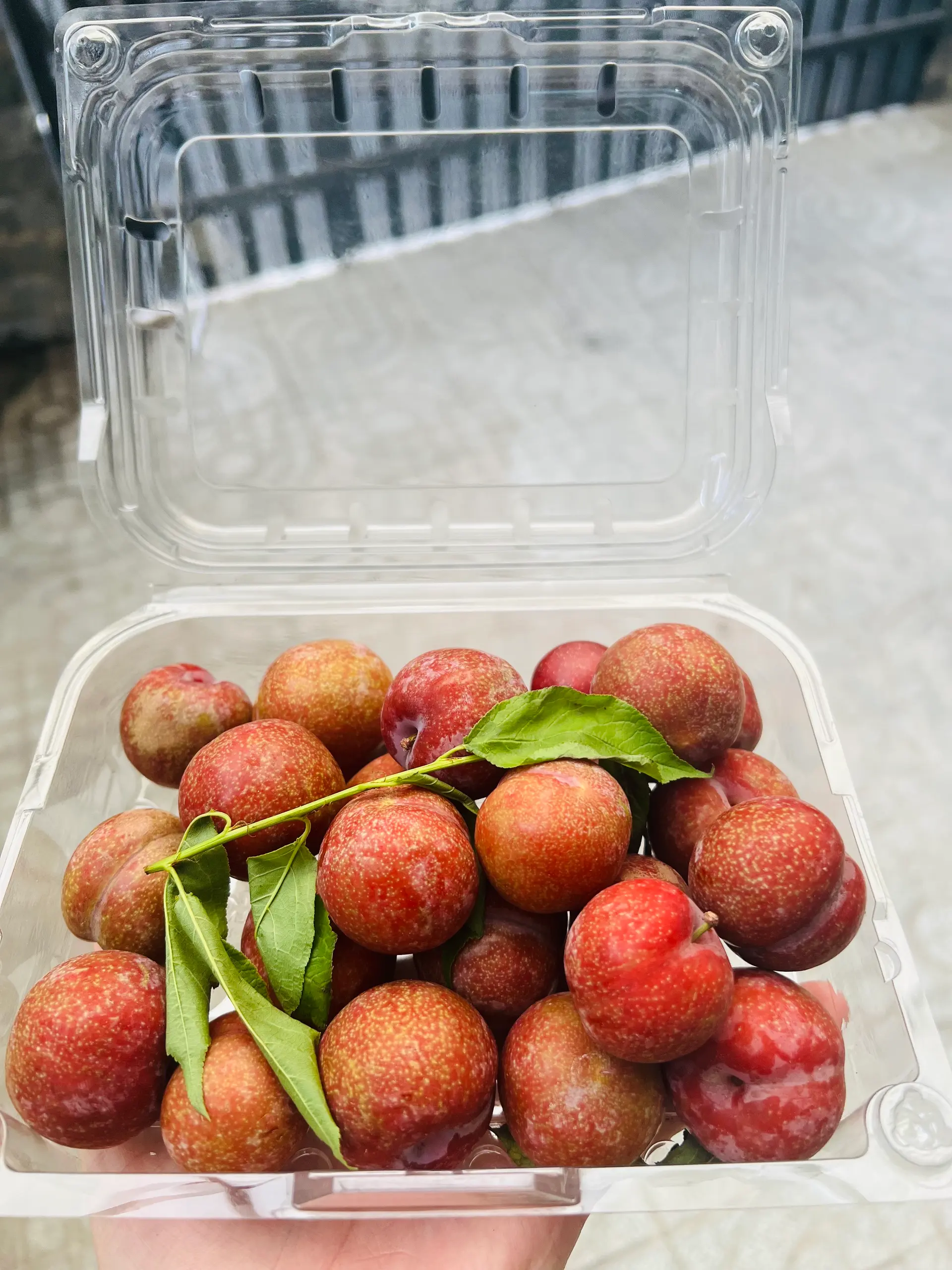Hình ảnh Mận Hà Nội  (muối) 400g