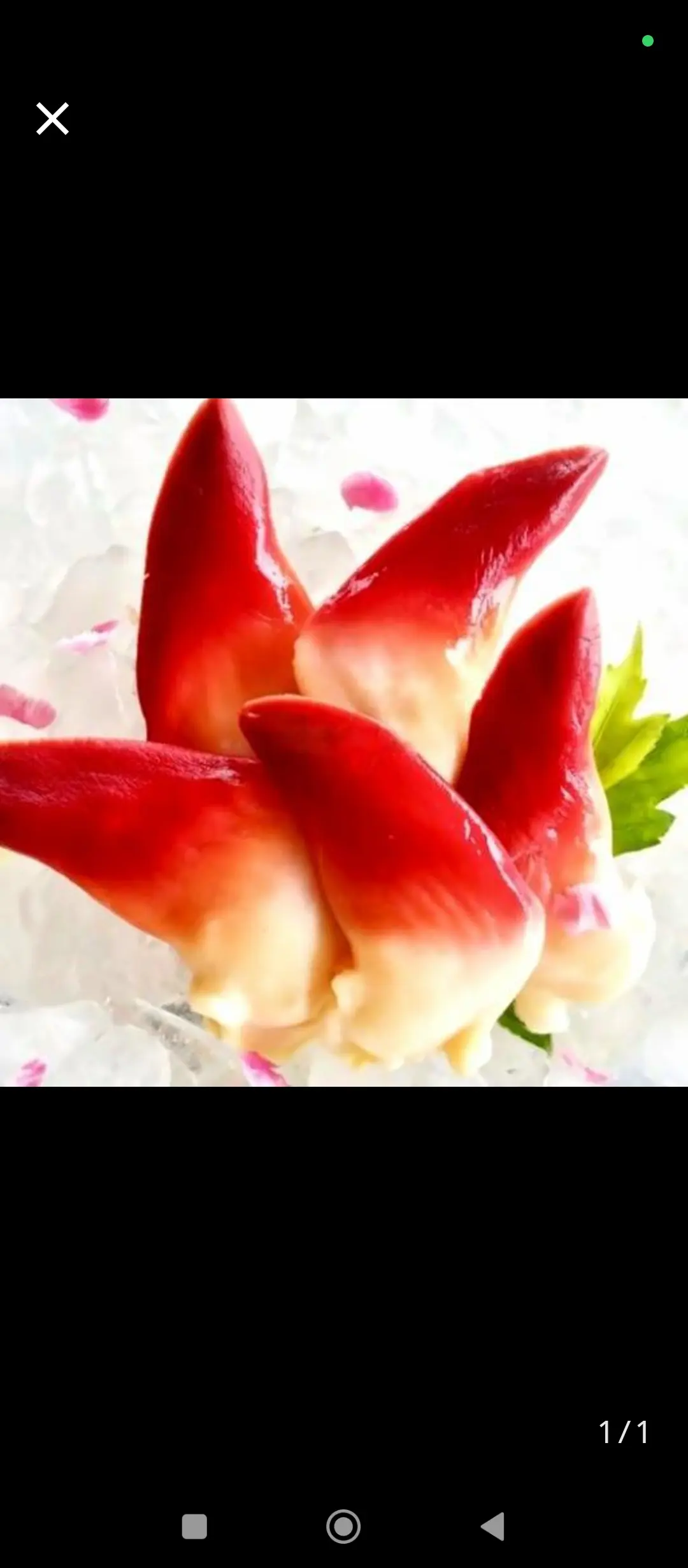 Hình ảnh Sashimi Sò Đỏ _5psc.