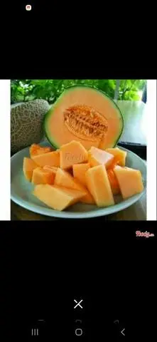 Hình ảnh Dưa lưới  300gr