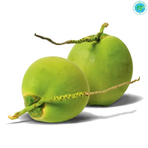 Hình ảnh Dừa tươi
