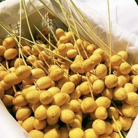 Hình ảnh Chà Là Tươi Thái Lan - 1Kg