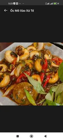 Hình ảnh ỐC MỠ XÀO ME