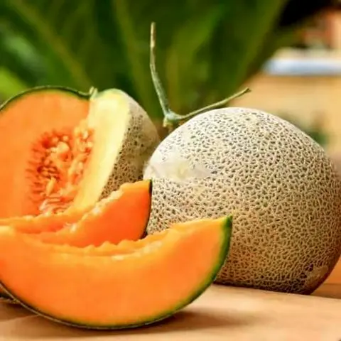 Hình ảnh Dưa lưới