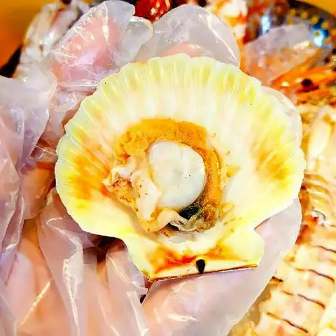 Hình ảnh Sò điệp