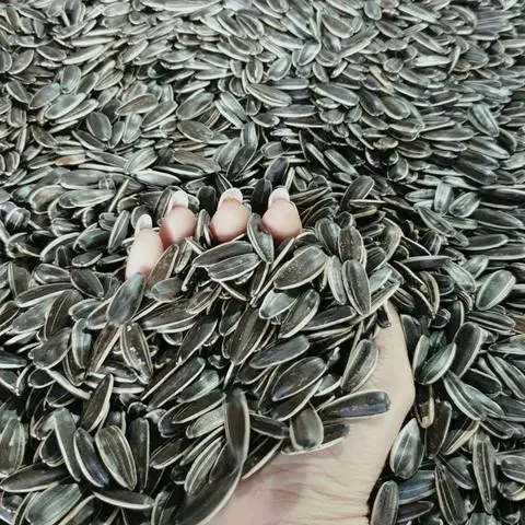 Hình ảnh Hạt hướng dương 