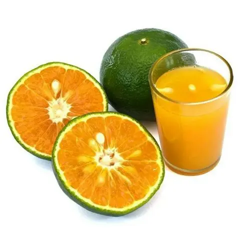 Hình ảnh Nước cam vắt - nguyên chất