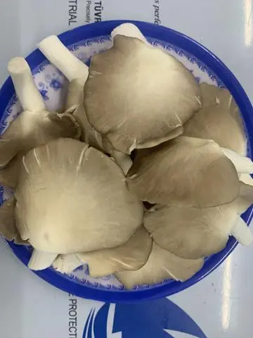 Hình ảnh Nấm Thêm