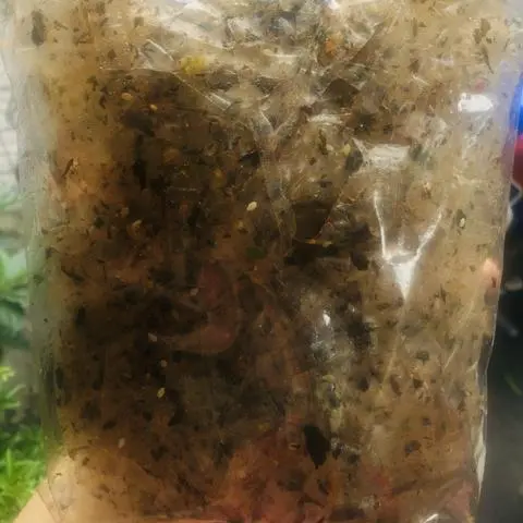 Hình ảnh Bánh tráng rong biển