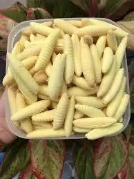 Hình ảnh Bánh sâu men sầu riêng