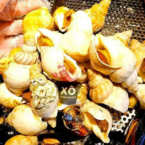 Hình ảnh Ốc bulot