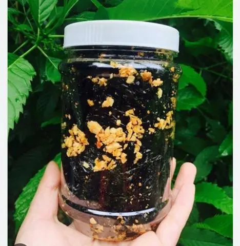 Hình ảnh Rong biển cháy tỏi