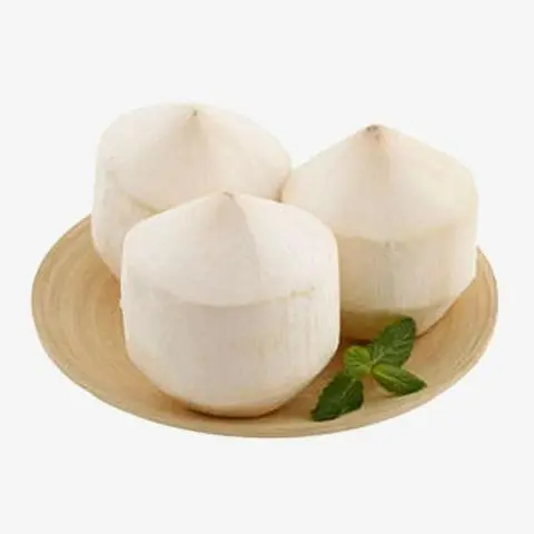 Hình ảnh Dừa Tắc Hạt Đác Thơm