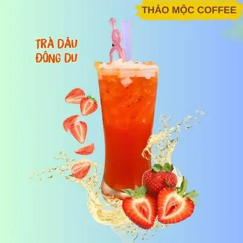 Hình ảnh Trà dâu đông du