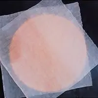 Hình ảnh BÁNH TRÁNG (1 cái)