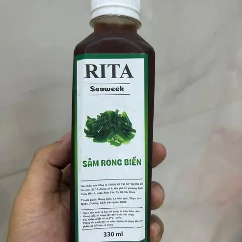 Hình ảnh Sâm Rong Biển