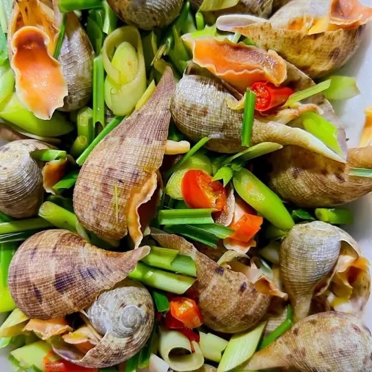Hình ảnh ỐC MUỖNG HẤP SẢ