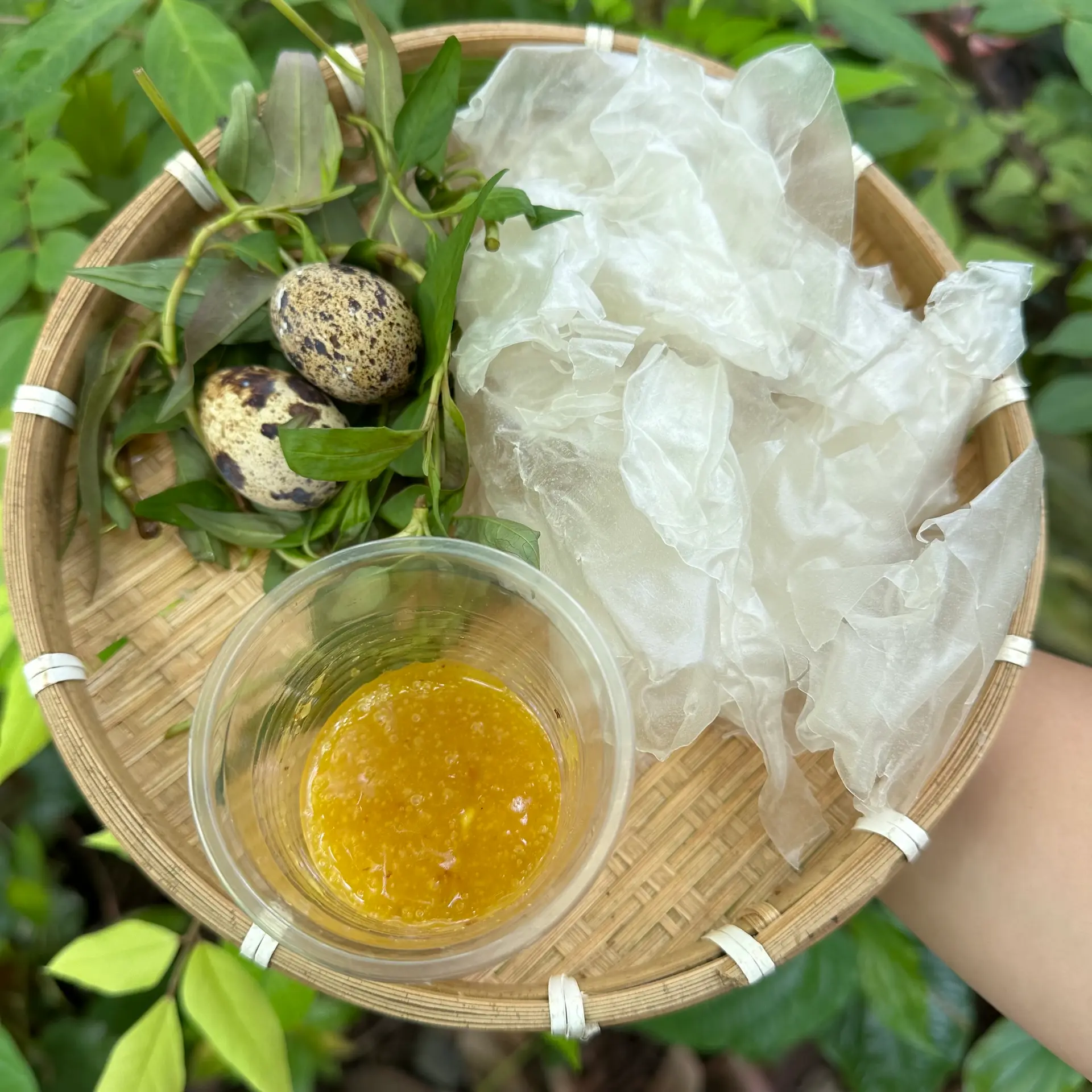 Hình ảnh Bánh Tráng Chấm - Muối Béo
