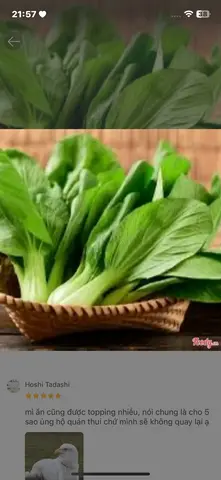 Hình ảnh Cải Thìa 