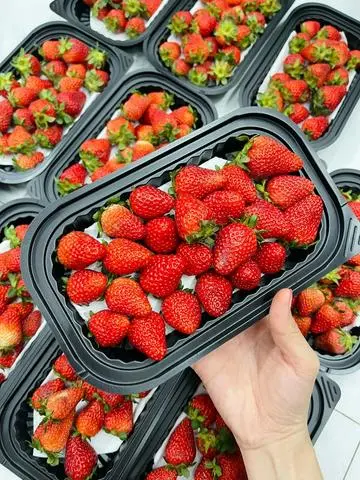 Hình ảnh Khay 350g Dâu Tây Đà Lạt