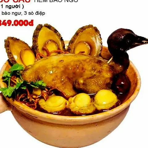 Hình ảnh BỒ CÂU TIỀM BÀO NGƯ 