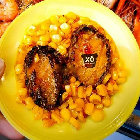 Hình ảnh Set 5 con bào ngư