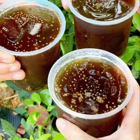 Hình ảnh TRÀ BÍ ĐAO HẠT CHIA