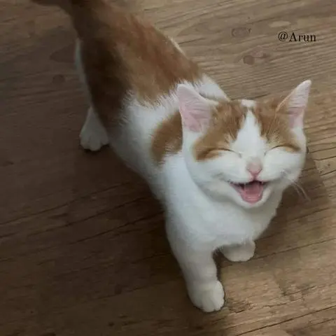 Hình ảnh chúc quý khách ngon miệng ạ