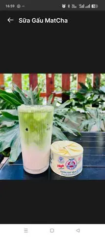 Hình ảnh Sữa gấu