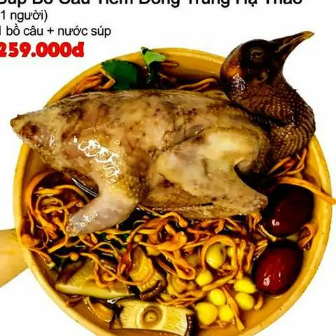 Hình ảnh SÚP BỒ CÂU TIỀM ĐÔNG TRÙNG HẠ THẢO 
