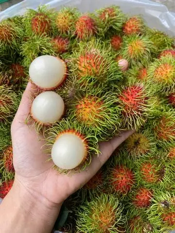 Hình ảnh Chôm chôm Thái lột sẵn 400g