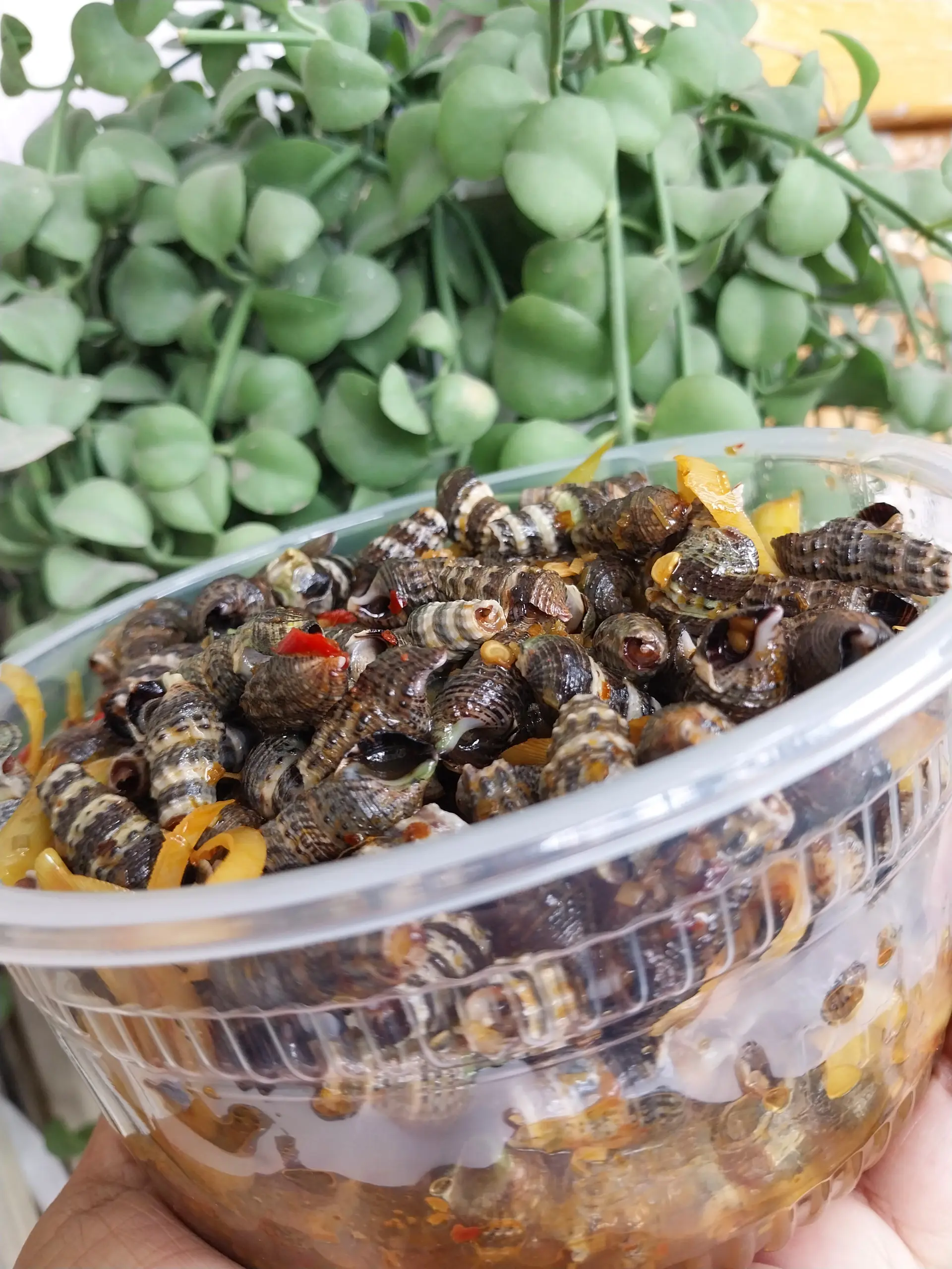Hình ảnh ốc hút xào sa ơt phần 1kg