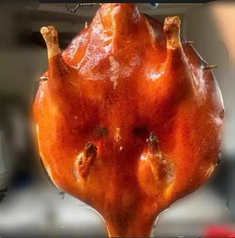 Hình ảnh 1 Con Vịt Cô Đơn