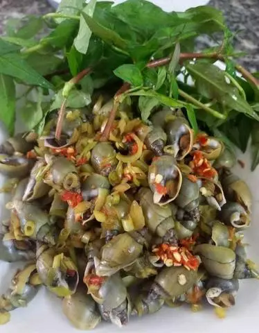 Hình ảnh Ốc cà na xào sả ớt