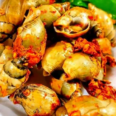 Hình ảnh ỐC CÀ NA RANG MUỐI