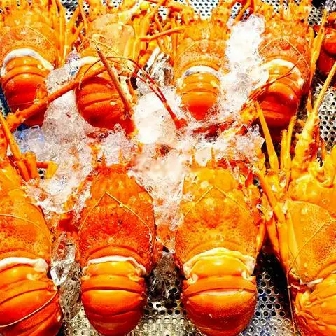 Hình ảnh Tôm hùm xanh 1 con 500gram