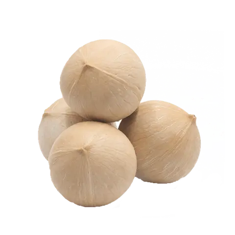 Hình ảnh Dừa tươi