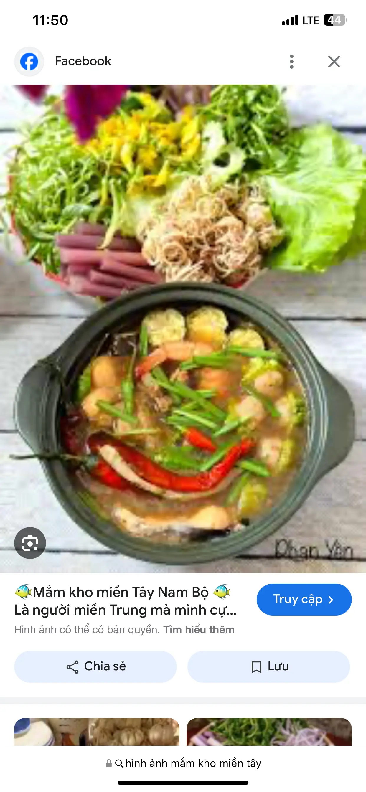 Hình ảnh mắm kho thập Cẩm +cơm 