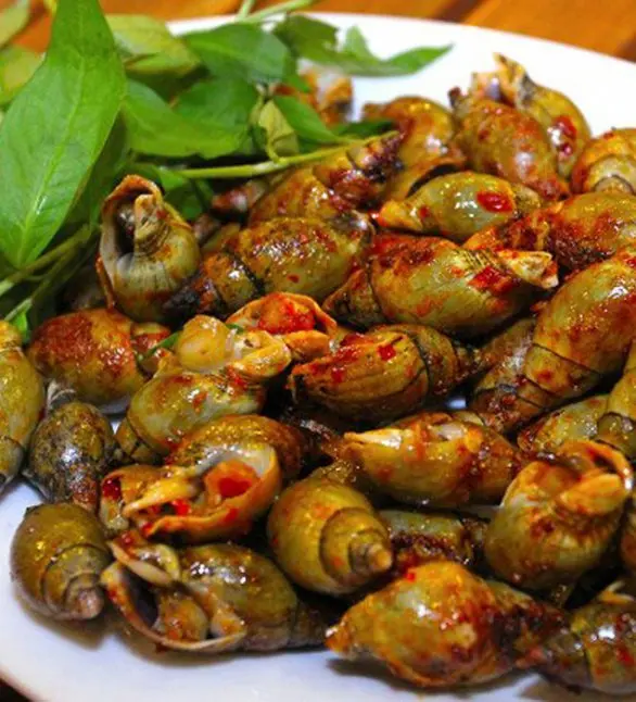 Hình ảnh Ca na rang muối 