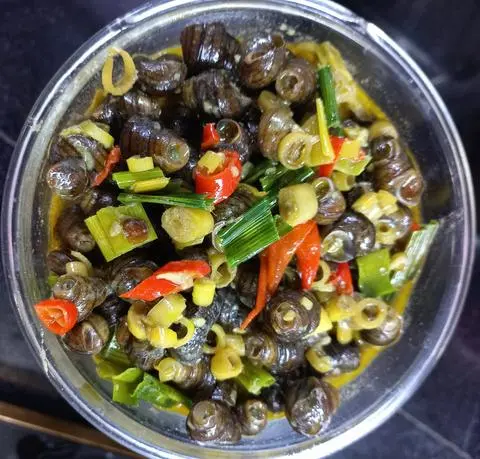 Hình ảnh Ốc hút