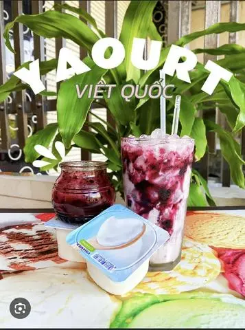 Hình ảnh SỮA CHUA VIỆT QUẤT 