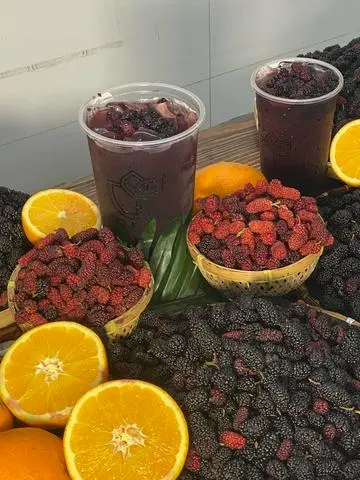 Hình ảnh TRÀ DÂU TẰM